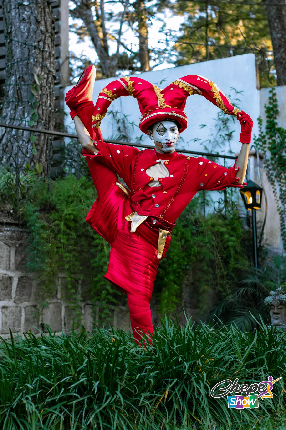 Shows culturales